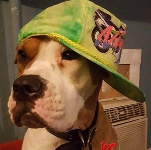 Meet your Posher, Zac